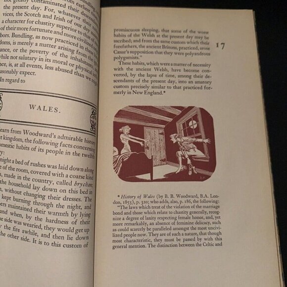 1871 BUNDLING: ITS ORIGIN, PROGRESS AND DECLINE IN AMERICA, by Henry Stiles HC - Picture 11 of 12